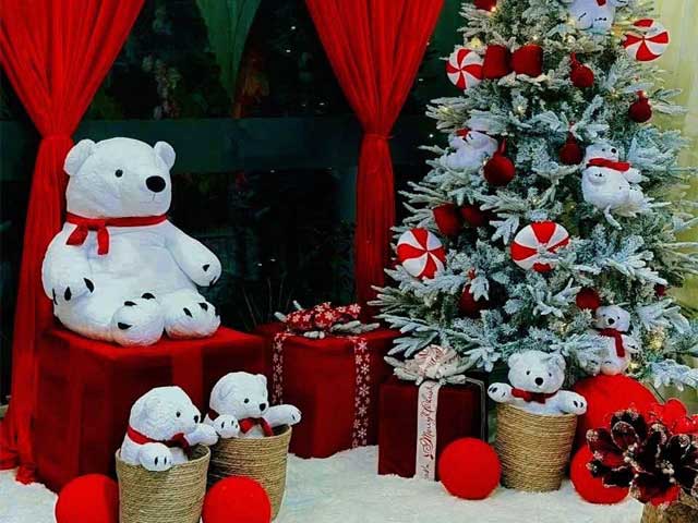 Dịch Vụ Trang Trí Tiểu Cảnh Tết Trọn Gói 2025