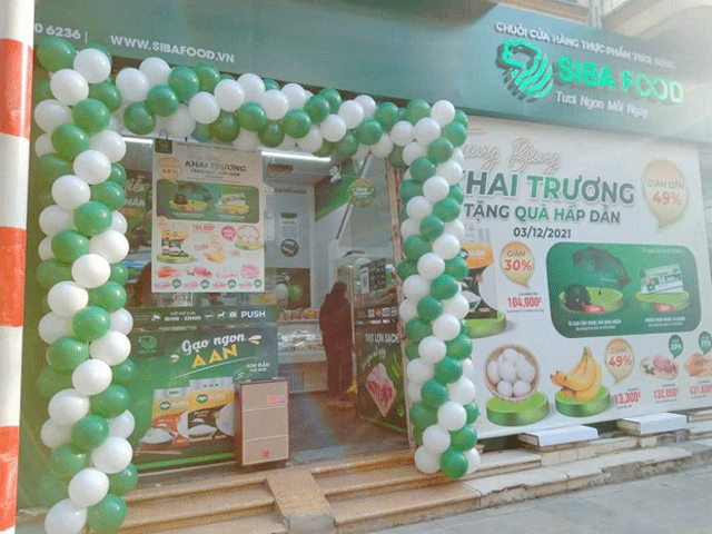 Thuê Cổng Bong Bóng Thuê Cổng Bong Bóng