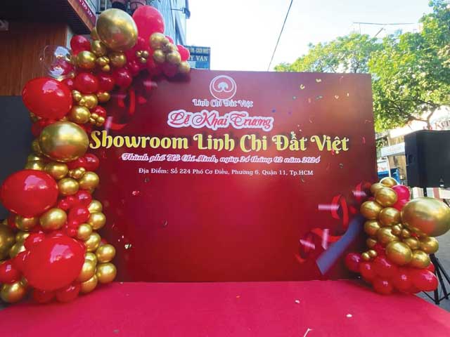 Trang trí backdrop và banner khai trương